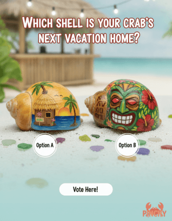 Instagram Story poll generated for the Pinchy campaign